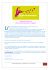 newsletter n°16 des feminissimes de paris