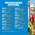 Trouvez le programme du carnaval 2015 de Nice.