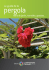 Le guide de la pergola