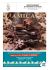 Le Musée du Chocolat
