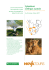 Splendeurs d`Afrique Australe