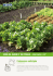 Soins du jardin et du potager