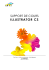 SUPPORT DE COURS ILLUSTRATOR CS NewSoft