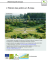 L`Histoire des jardins en Europe