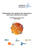Optimisation de la gestion des interactions client avec