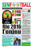 Fédération Sénégalaise De Football