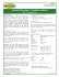 Technical Data Sheet: WoodPlus Stabilizer