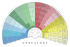 9 Generation Fan Pedigree Chart