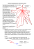 Distance GéOgraphique Et Distance Temps Pratiquemath Org