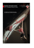 Factsheet Escalade sportive IFSC Climbing Worldcup Villars