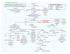 Morris-NY-1 - Political Family Tree