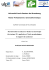 Rapport_Master_Mafouana