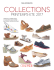 Mise en page 1 - Chausser Magazine