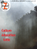 Zibeline n°16 en PDF