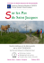 Sur les Pas de Saint Jacques