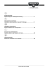 Renault Scenic RX4