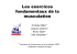 Les exercices fondamentaux de la musculation