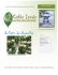 Bulletin de Nouvelles