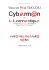 Cyberman, Essai de téléconnectique - Vincent-Paul Toccoli a
