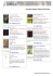Liste - Paris Diderot
