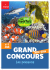 grand concours