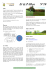Et @ PAR&ccedil;a N&deg;10 - ESR Section Golf