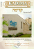 kadima 9