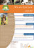 Newsletter - Fondation Clara