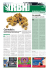 RBH23 - Cannabis Sans Fronti&egrave;res