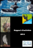 Rapport d`activités 2014