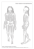 Homo sapiens neanderthalensis