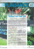 PLAISANCE BULLETIN 06/04