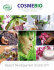 Rapport Développement Durable 2011