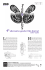 Mise en page 1