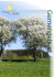 4.529,30 € Commune de Consdorf Quête 2013