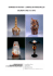 VERRERIES ART NOUVEAU : L`EXEMPLE DES FRERES MULLER