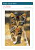 Cat. Walking. Free cross stitch pattern