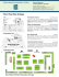 Floor Plan/Plan d`étage - Ontario Universities` Fair