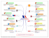 Map réalisée avec Mindjet MindMager Pro 6