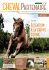 Santé - Cheval Partenaire
