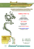Newsletter 22 - Mai 2012