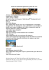 PDF file