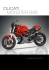 ducati monster 696 - Masi