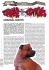 GITM25 -2-.indd - Compagnie par Terre