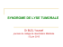 Le syndrome de lyse tumorale
