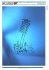 Outils pour remplacement des ressorts et des amortisseurs