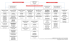 Organigramme du secteur de la formation professionnelle et des