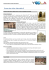 Excursions dans Marrakech