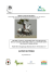RAPPORT ATELIER NATIONAL OISEAUX MIGRATEURS der