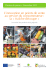 L`innovation en points de vente au service du consommateur : la